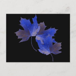 Blue Höst löv Vykort