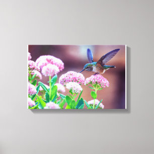 Blue Hummingbird Blommigt Stretched Kanvastryck