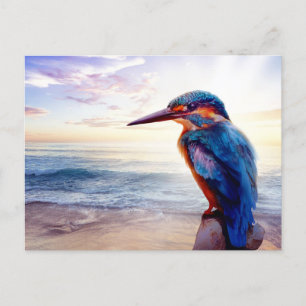 Blue Hummingbird Exotic Sunset Beach Vykort