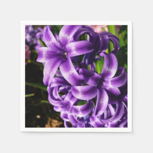 Blue Hyacint II Vår Blommigt Pappersservett
