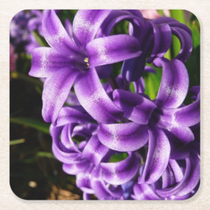 Blue Hyacint II Vår Blommigt Underlägg Papper Kvadrat