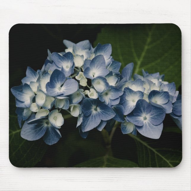Blue Hydrangea 8514 Mousepad Musmatta (Framsidan)