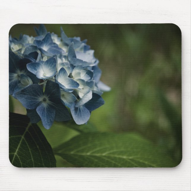 Blue Hydrangea 8519 Mousepad Musmatta (Framsidan)