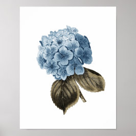 Blue Hydrangea Artwork #1 Botaniskt väggverk Poster