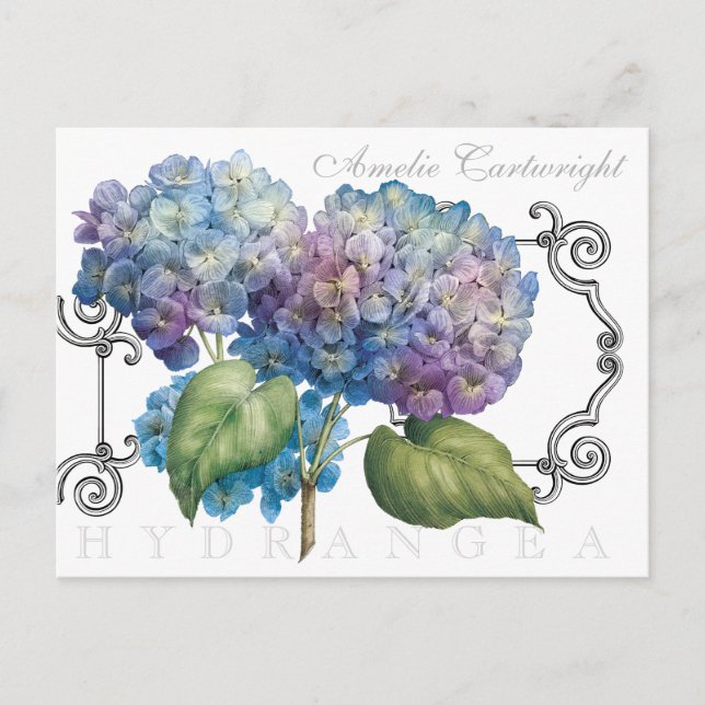 Blue Hydrangea Blommigt Monogrammed Namn Vykort (Framsida)