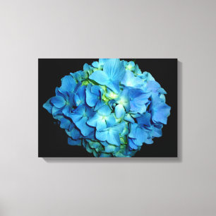 Blue Hydrangea Canvastryck