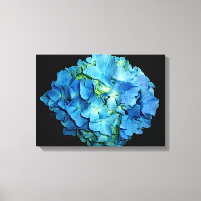 Blue Hydrangea Canvastryck (Framsida)