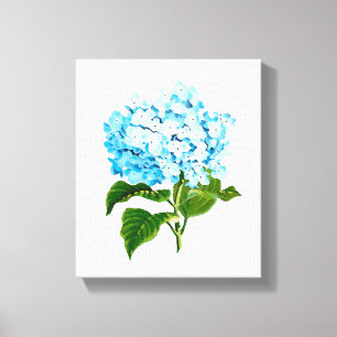 Blue Hydrangea Canvastryck