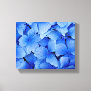 Blue Hydrangea Flowers Canvastryck