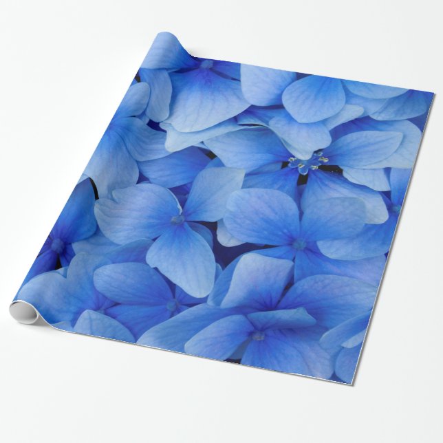 Blue Hydrangea Flowers Presentpapper (Utrullad)