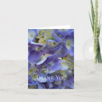 Blue Hydrangea