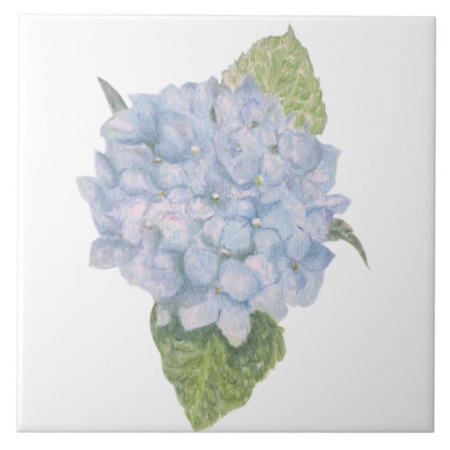 Blue Hydrangea Kakelplatta (Framsidan)