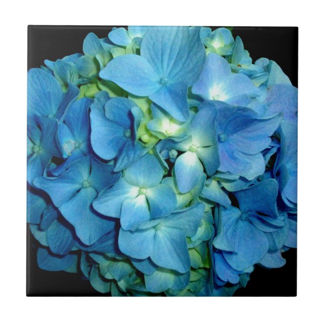 Blue Hydrangea Kakelplatta (Framsidan)