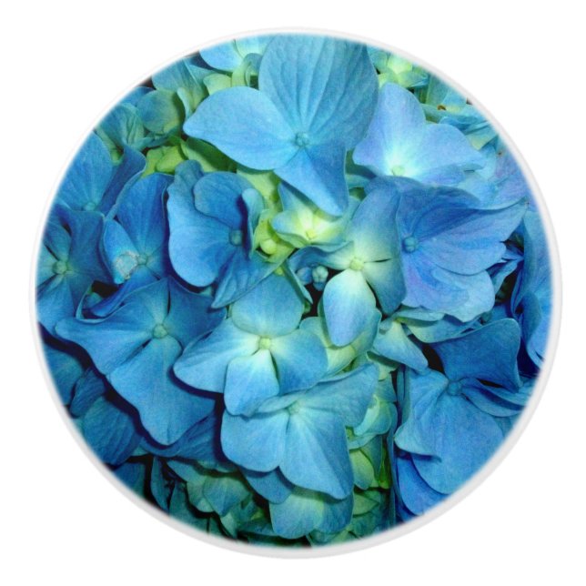 Blue Hydrangea Knopp (Framsidan)