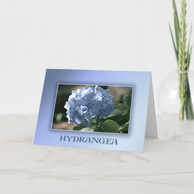 Blue Hydrangea Kort (Framsida)