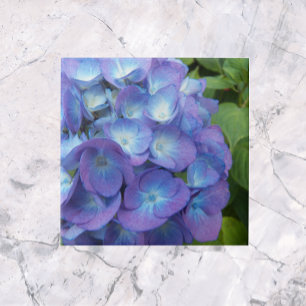 Blue Hydrangea Petals Blommigt Kakelplatta