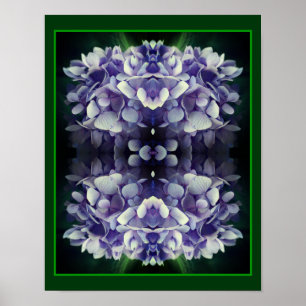Blue Hydrangea Petals Close Abstrakt Poster