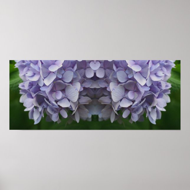 Blue Hydrangea Petals Spegel Abstrakt Poster (Framsidan)