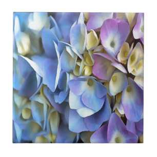 Blue Hydrangea Shrub Artistic Bossom Kakelplatta