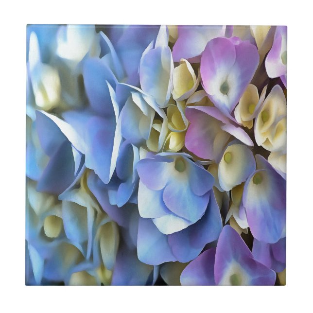 Blue Hydrangea Shrub Artistic Bossom Kakelplatta (Framsidan)