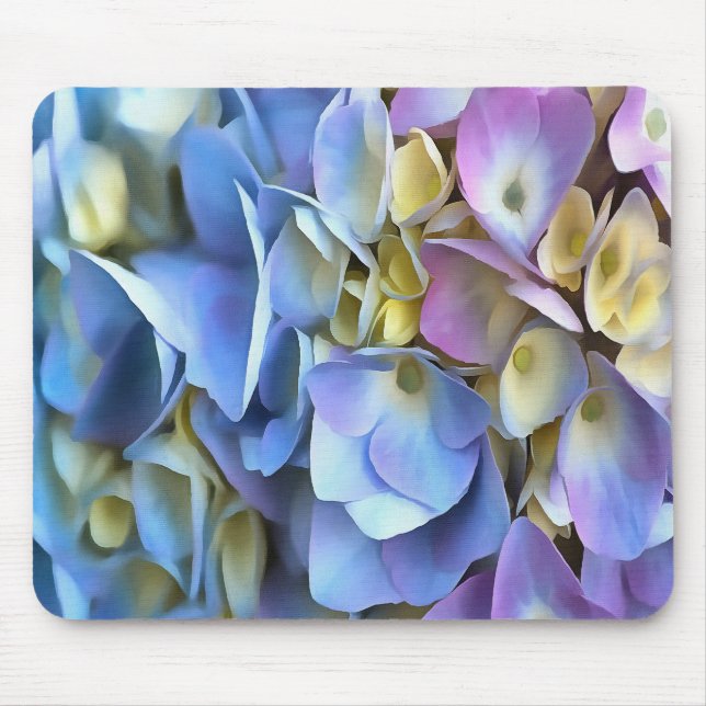 Blue Hydrangea Shrub Artistic Bossom Musmatta (Framsidan)