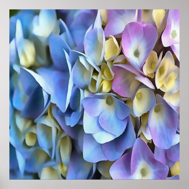Blue Hydrangea Shrub Artistic Bossom Poster (Framsidan)