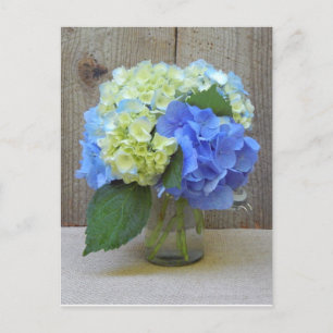 Blue Hydrangeas Mason Burk Mature Födelsedagsfest Inbjudan Vykort