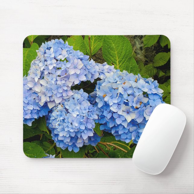 Blue Hydrangeas Musmatta (Med mus)
