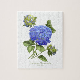 Blue Hydrangeas Pussel