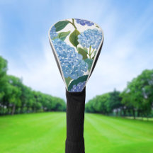 Blue Hydrangeas | Snygg Blommigt Bush