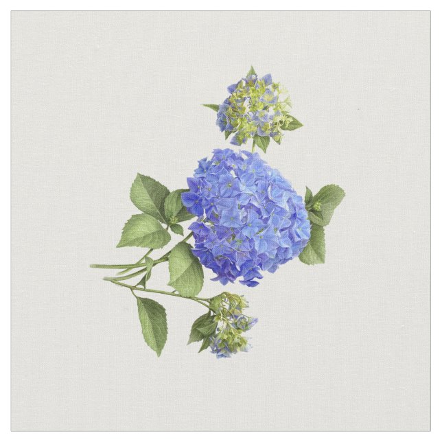Blue Hydrangeas Tyg (Närbild)