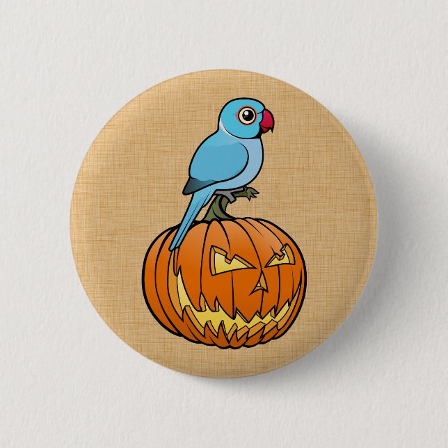 Blue Indian Ringneck on Pumpkin Halloween Knapp (Framsida)