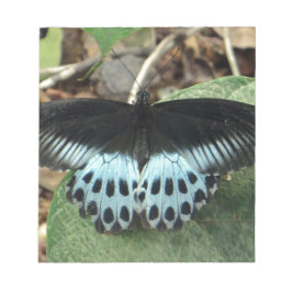 Blue Iridescent Mormon Butterfly Anteckningsblock
