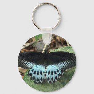 Blue Iridescent Mormon Butterfly Nyckelring