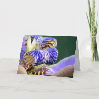 Blue Iris Blommigt Birday Card Kort