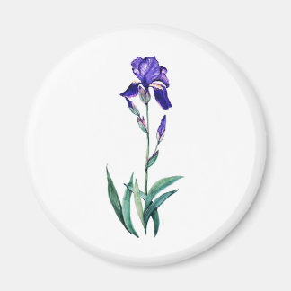 Blue Iris by PMACarlson Magnet