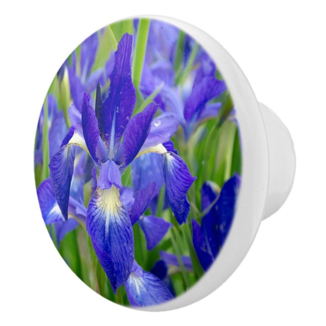 Blue Iris Flower Knob Knopp (Höger)