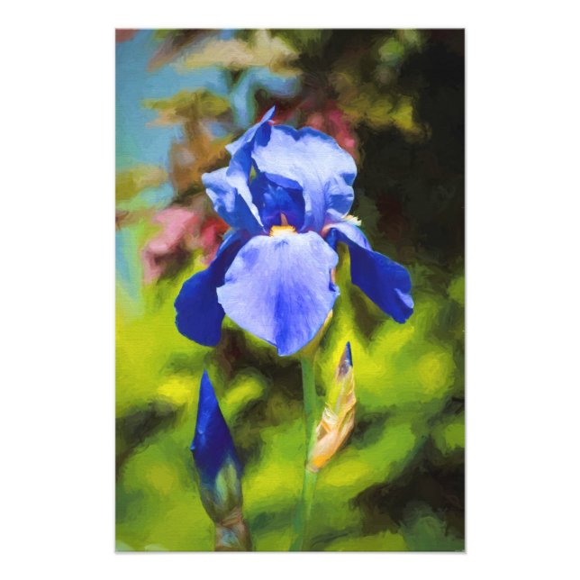 Blue Iris Fototryck (Framsidan)