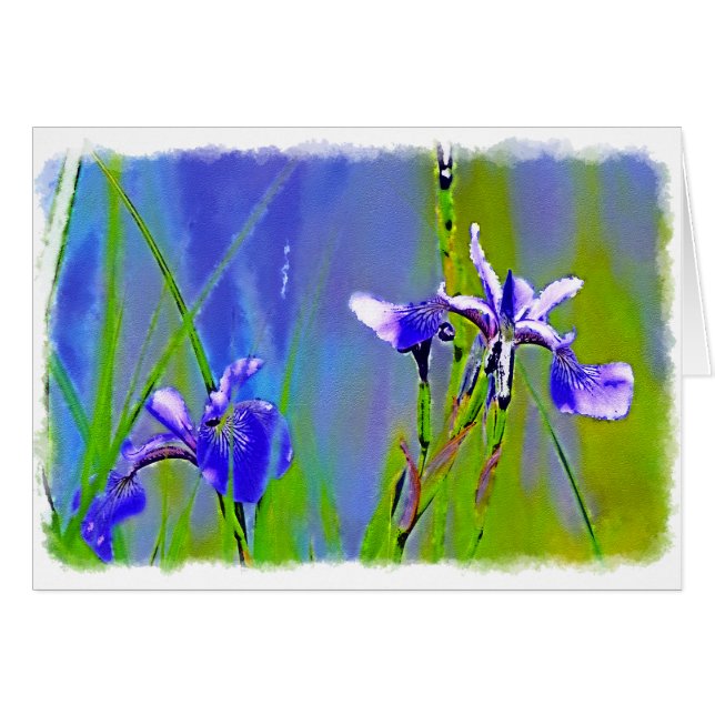Blue Iris Garden Flowers Florists Designer Art Hälsningskort (Framsidan Horizontal)