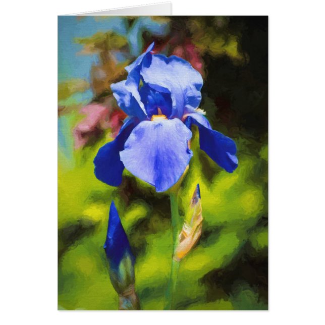 Blue Iris Hälsningskort (Framsidan)