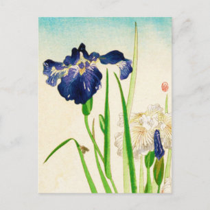 Blue Iris - Japansk vattenfärgsutskrift Vykort