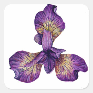 Blue Iris Siberica Flower Fyrkantigt Klistermärke