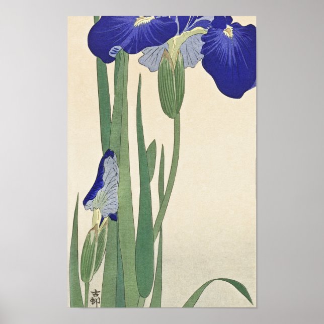 Blue Irises (1900-1930) by Ohara Koson Poster (Framsidan)