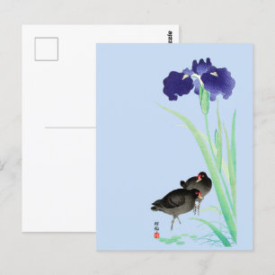 Blue Irises and Moorhens by Ohara Koson Vykort