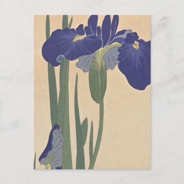 Blue Irises by Ohara Koson Vykort (Framsida)