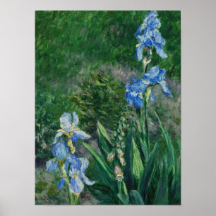 Blue Irises, Garden at at Petit Gennevilliers, 189 Poster