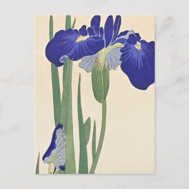 Blue Irises Painting by Ohara Koson Vykort (Framsida)