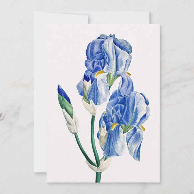 Blue Irises Tack Julkort (Framsida)