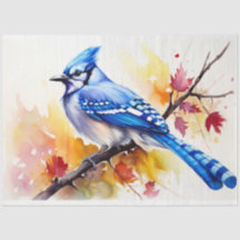 Blue Jay 1 Decoupage Papper