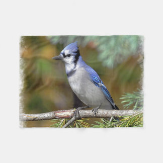 Blue Jay 1 Fleecefilt
